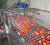 Hoge kwaliteit tomatenpuree die een kant-en-klaar project maakt