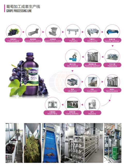 Linea di produzione intelligente di succo d'uva