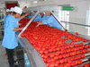 Soluzioni per la linea di produzione di Tomato Ketchup in bustina